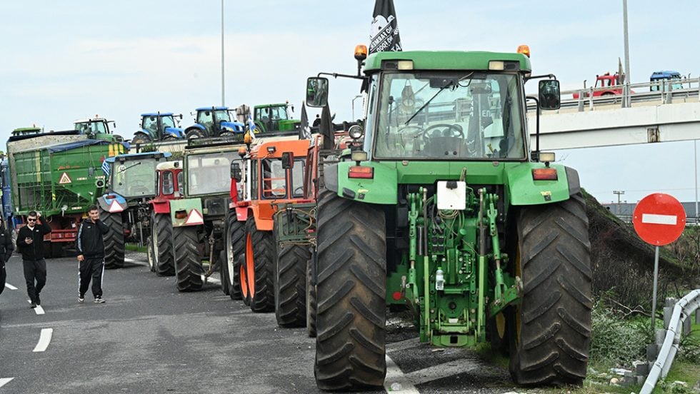 agrotes nikaia larisa - 12-2025